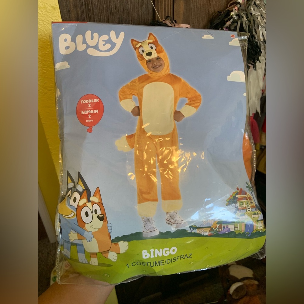Bingo Halloween costume